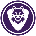 Wolf VPN -فیلتر شکن پرسرعت قوی